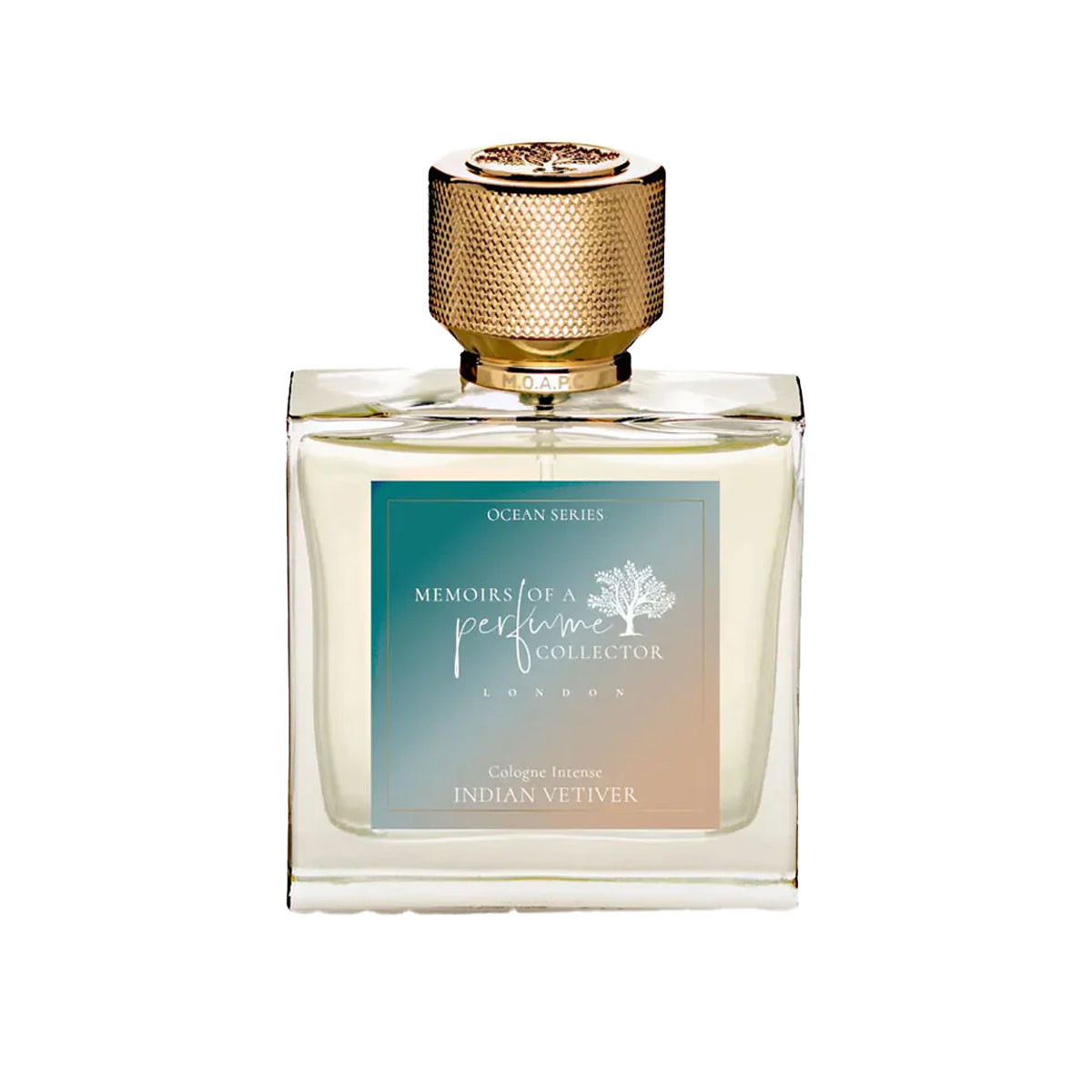 Indian Vetiver