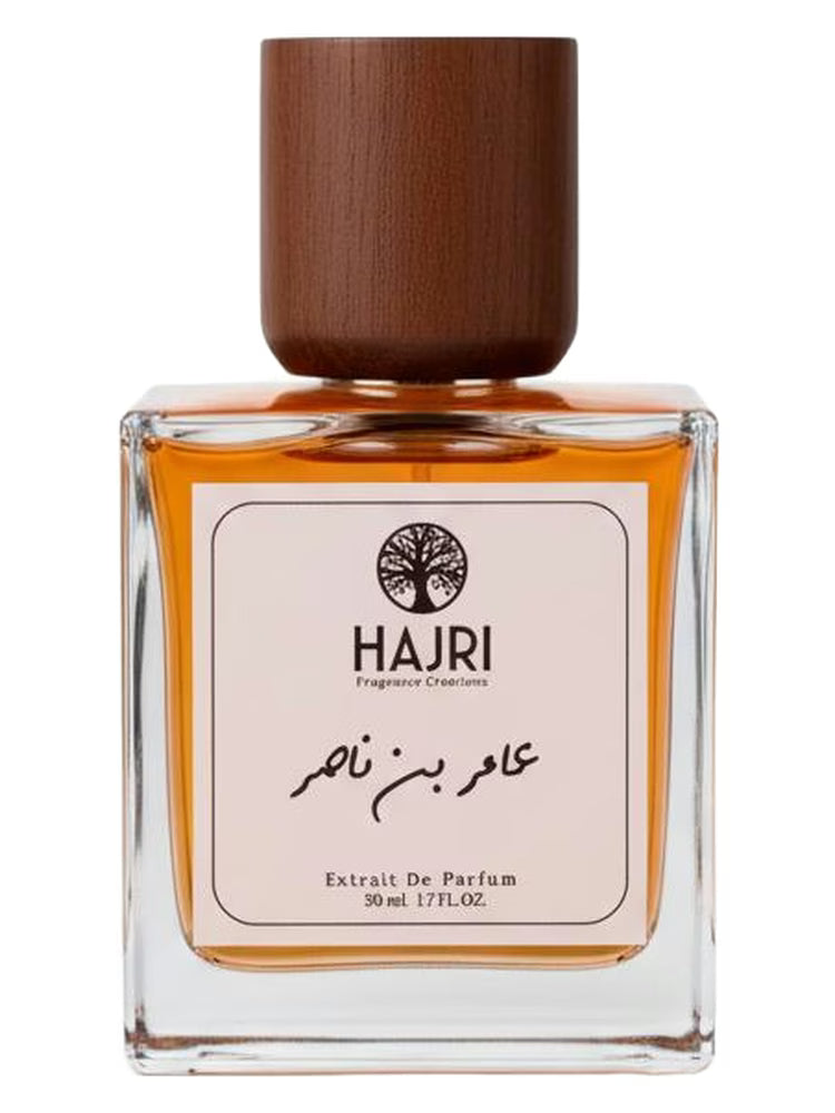 أمير بن ناصر